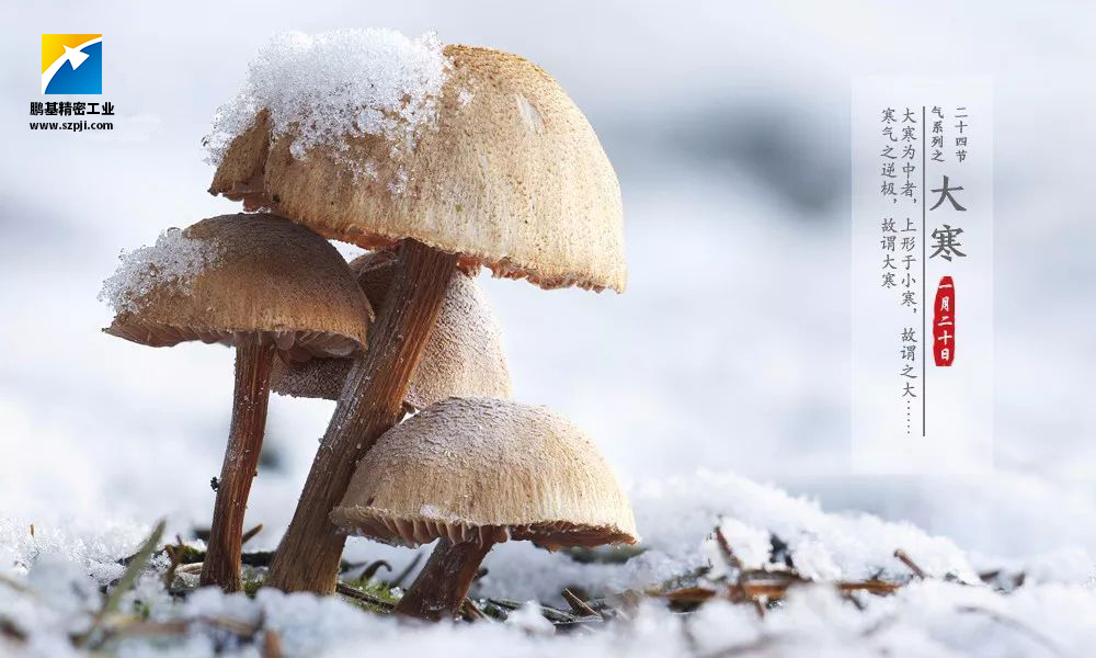 大寒，唯美冰雪迎新春！